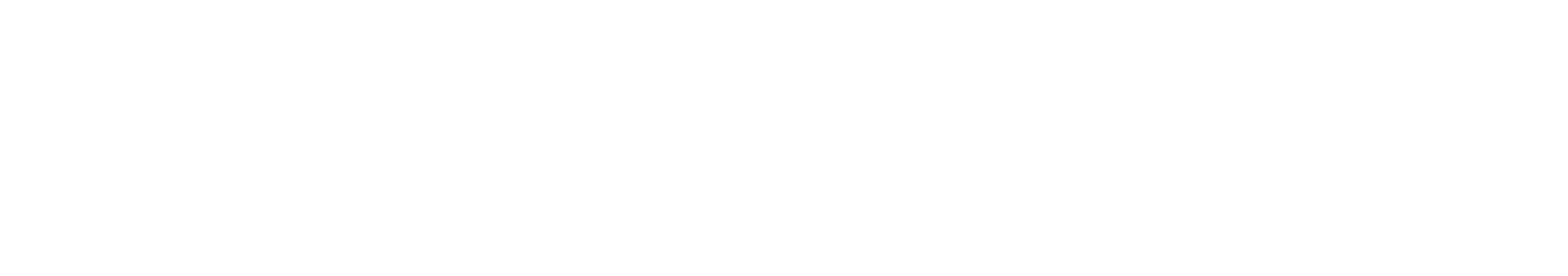 Novaplan AI
